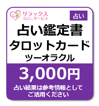 肢Ӓ菑-^bgJ[h-c[IN[3000