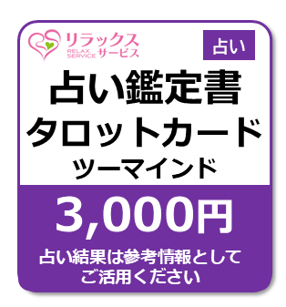 肢Ӓ菑-^bgJ[h-c[}Ch[3000
