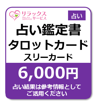 肢Ӓ菑-^bgJ[h-X[J[h[6000